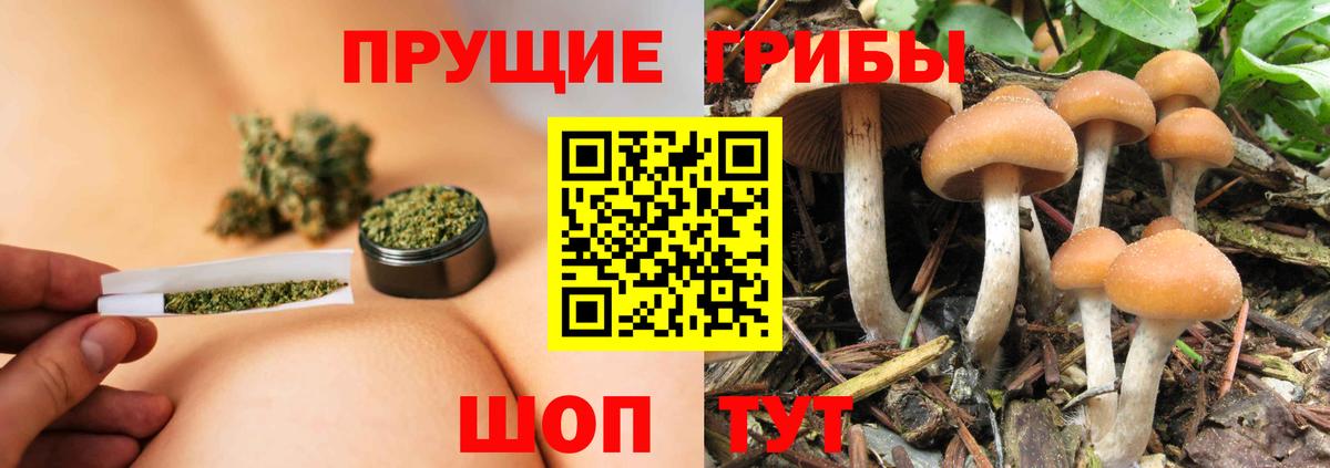 Галлюциногенные грибы мицелий Нижнекамск
